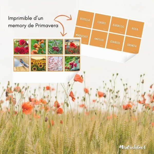 PACK MATERIALS I PROPOSTES PRIMAVERA