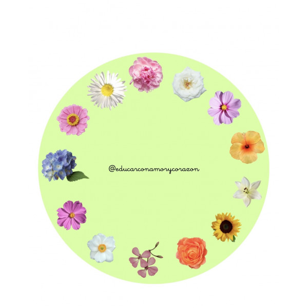 Ruleta Atención Flores e Insectos