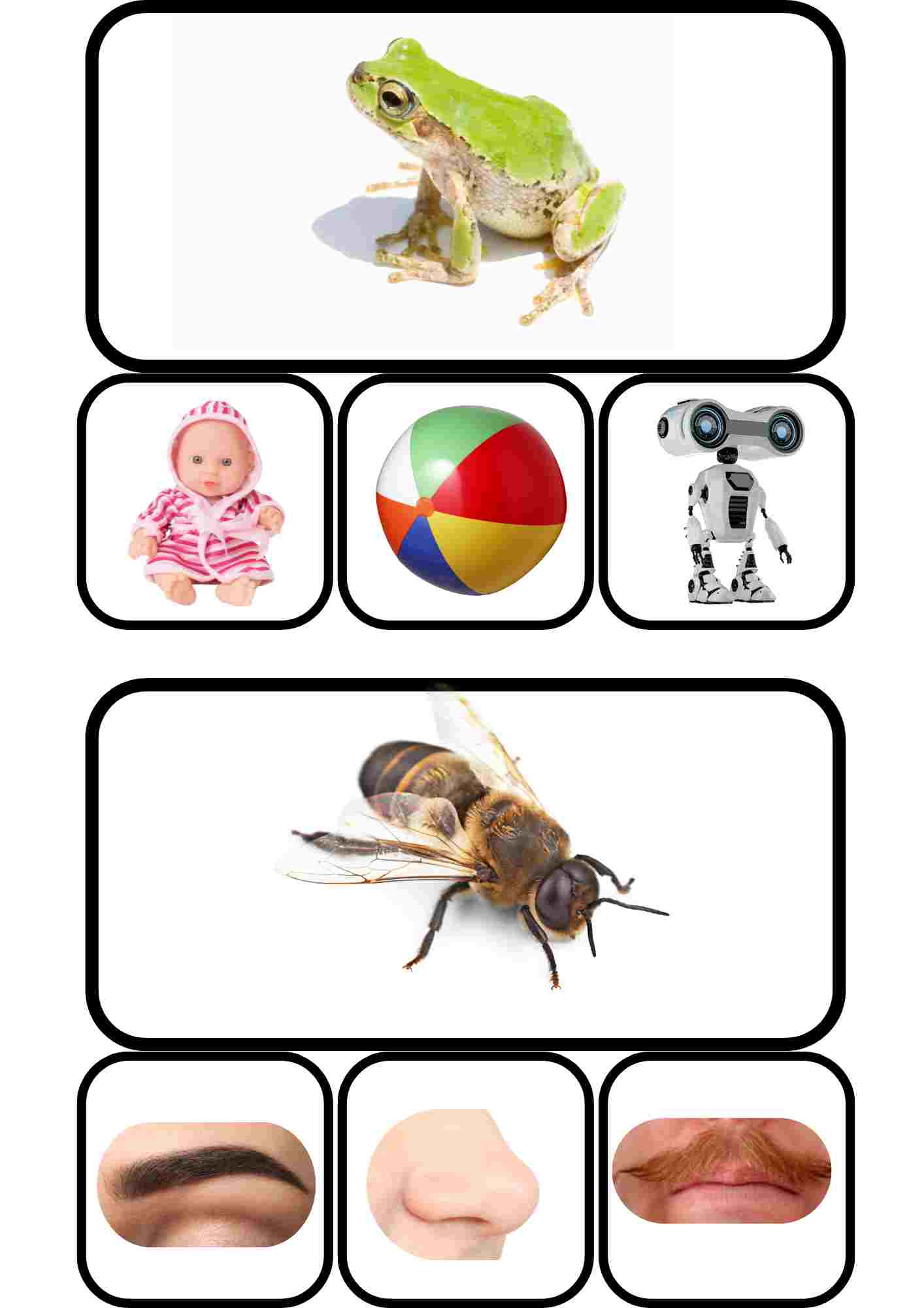 Consciència fonològica: paraules que rimen