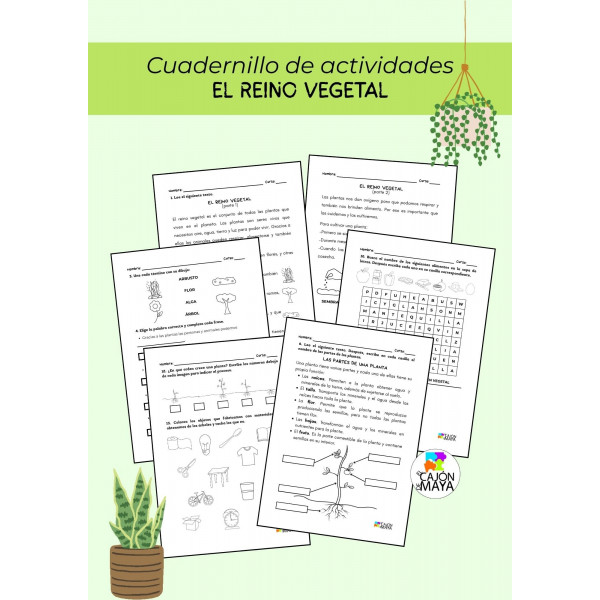 El reino vegetal - Unidad Didáctica
