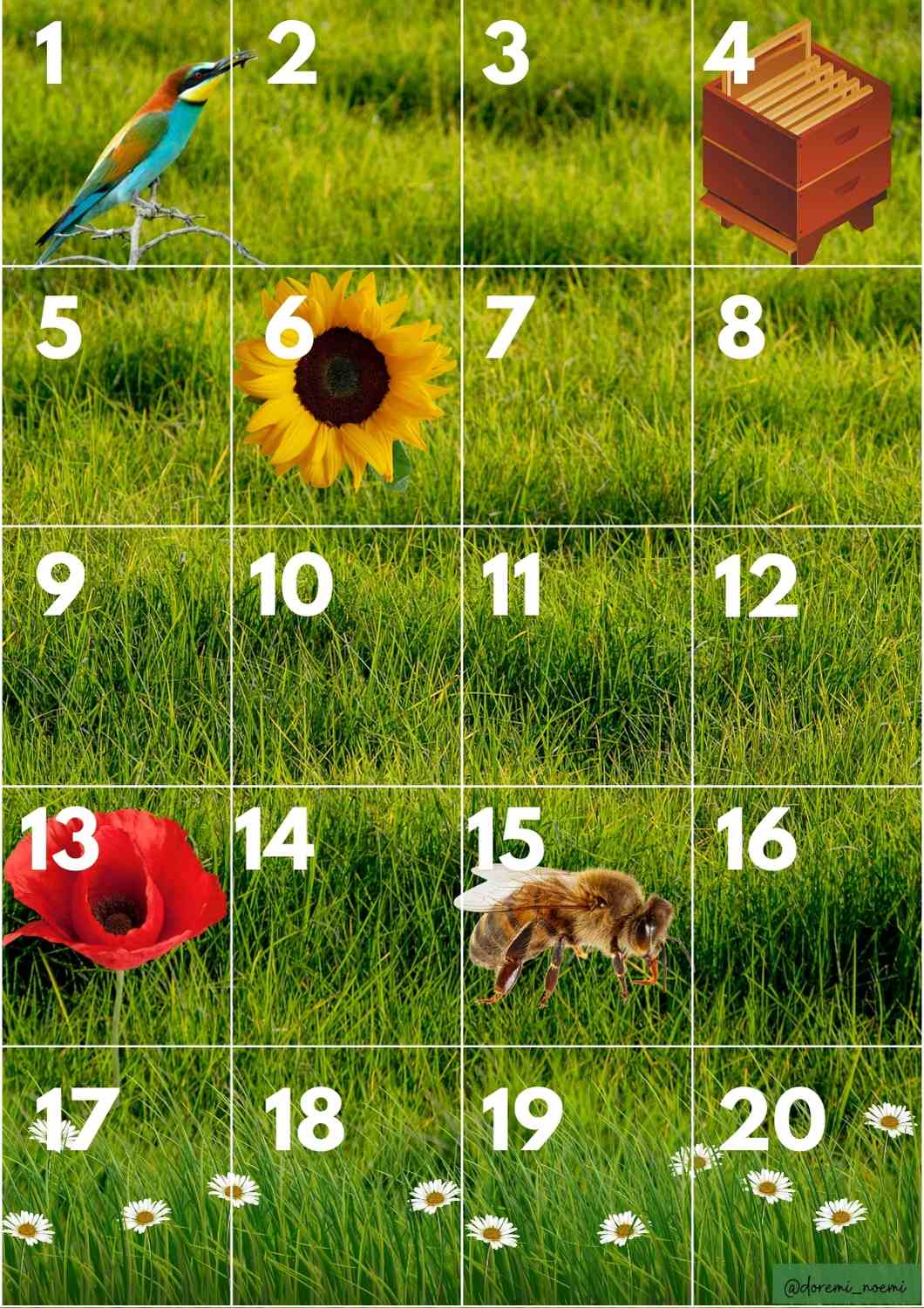 PRIMAVERA ROBOTICA. CAT/CAST