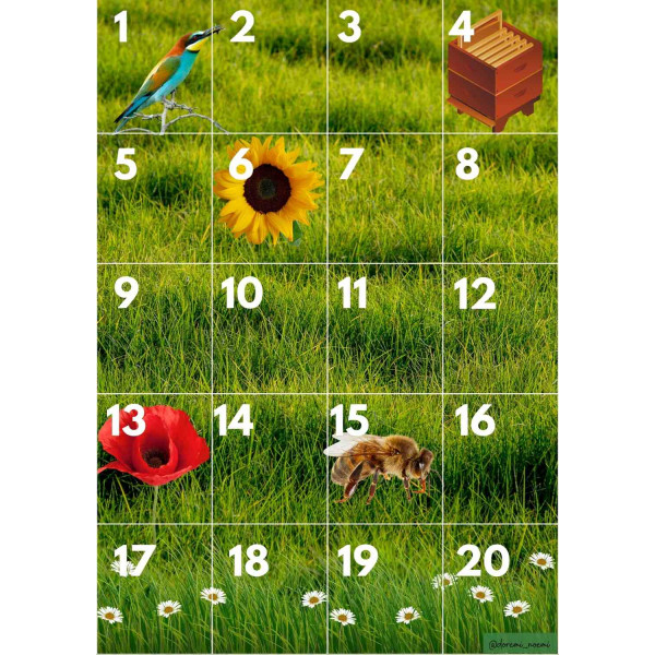 PRIMAVERA ROBOTICA. CAT/CAST