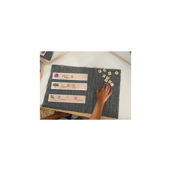 PRIMAVERA INSECTOS LECTOESCRITURA