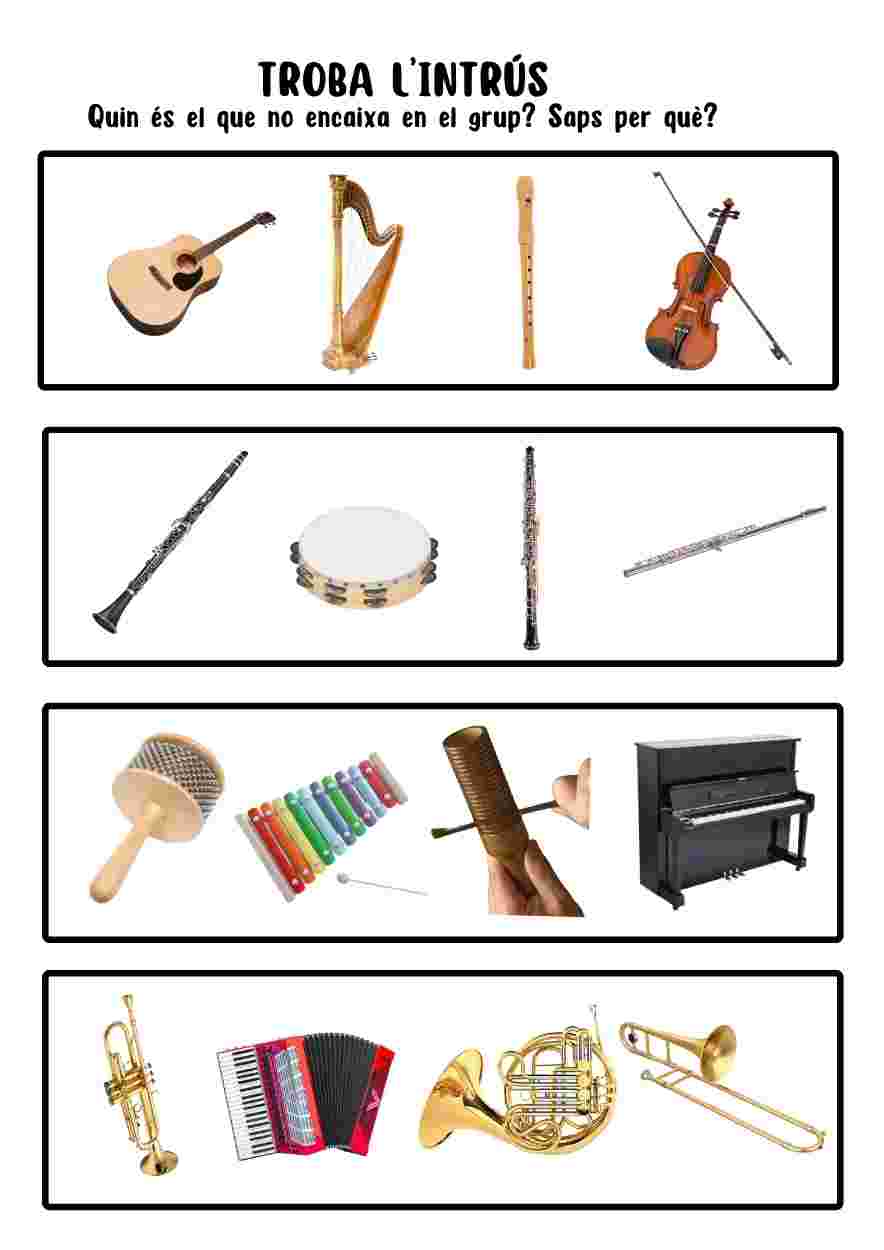 Troba l'instrument intrús