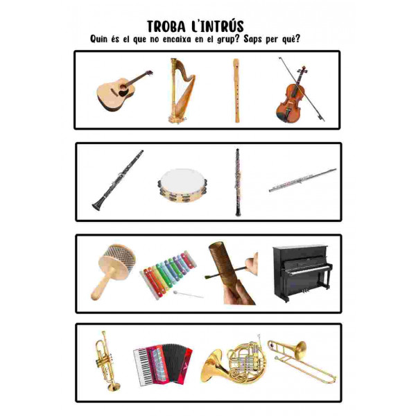 Troba l'instrument intrús.