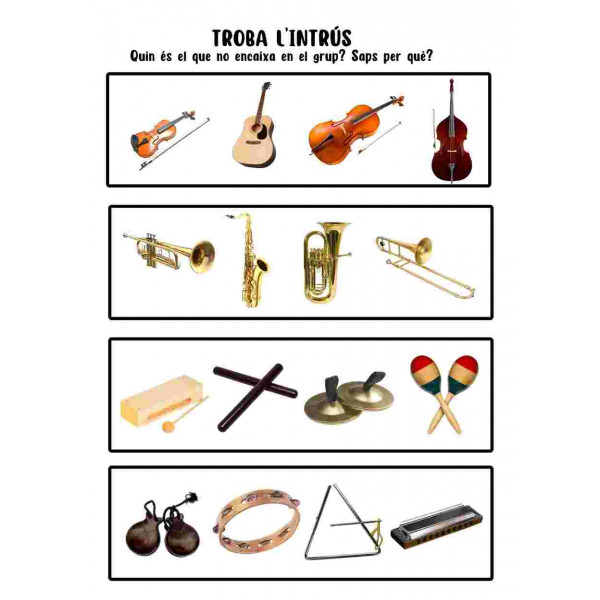 Troba l'instrument intrús.