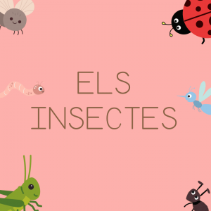 Els Insectes