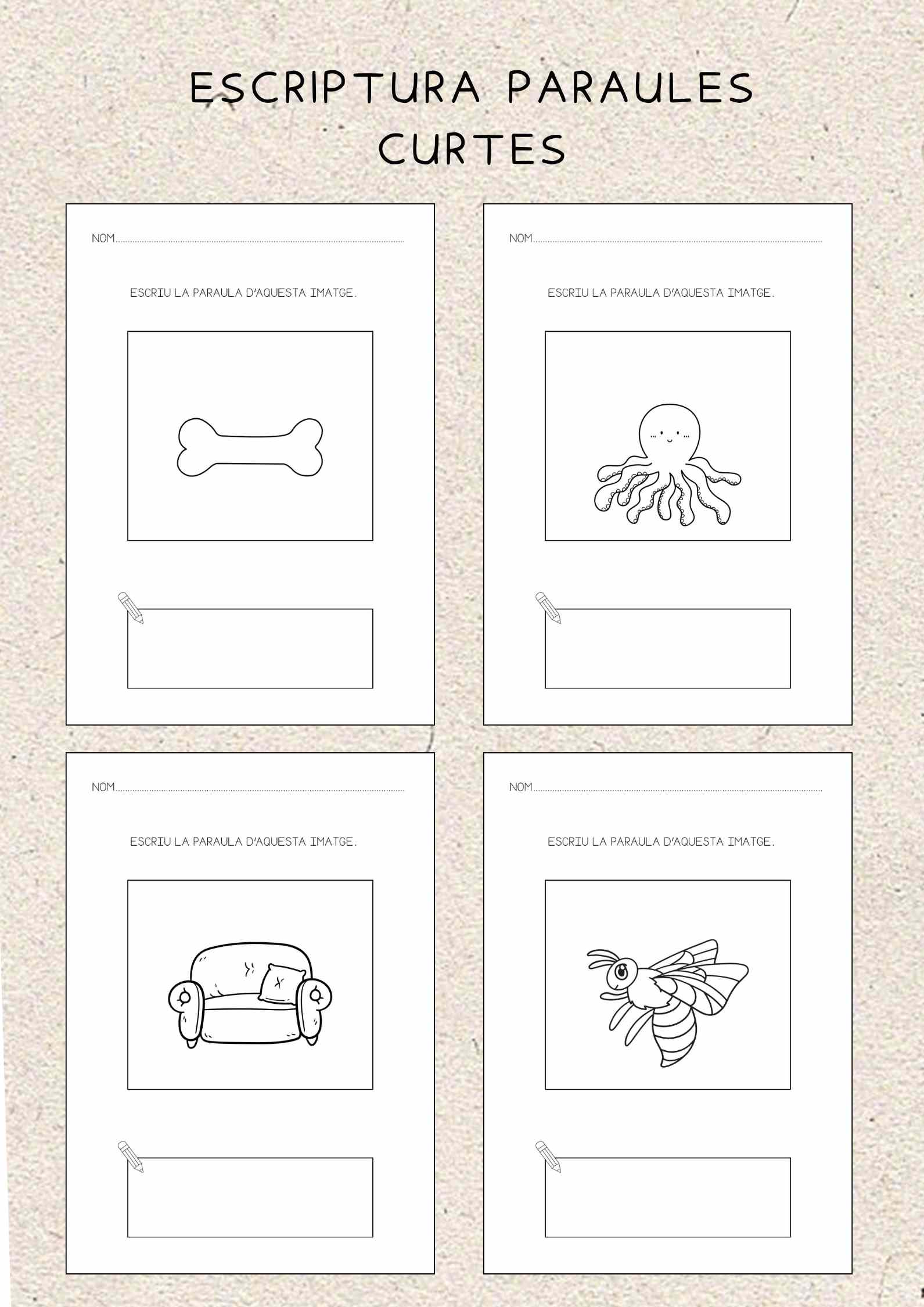 ESCRIPTURA PARAULES de 2 a 5 sons.