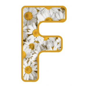 ABECEDARI D'AULA LLETRA-IMATGE