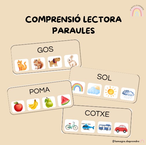 Comprensió lectora paraules