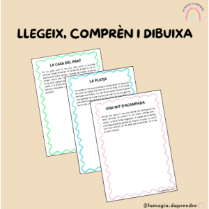 Llegeix, comprèn i dibuixa