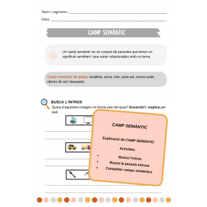 Camp semàntic