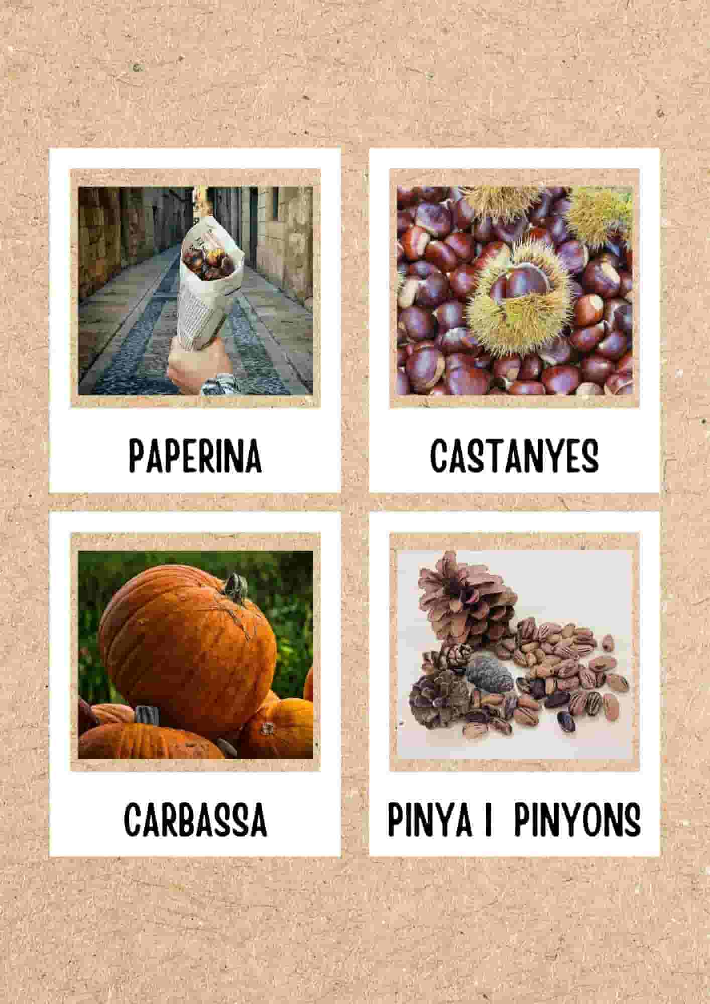 Targetes de vocabulari TARDOR