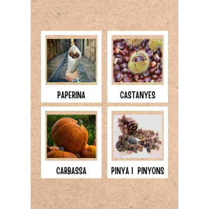 Targetes de vocabulari TARDOR