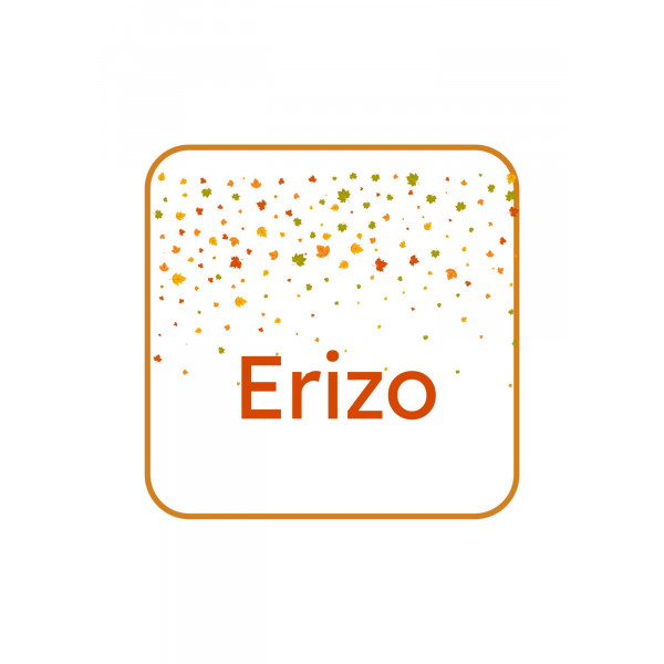 Memory de Otoño basico