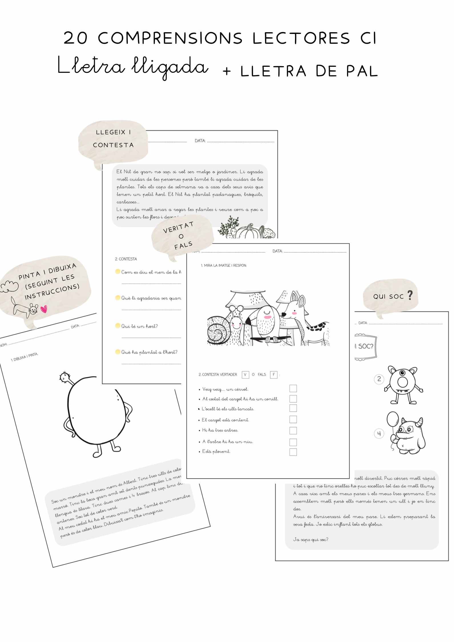 20 Comprensions lectores cicle incial ( lletra pal + lletra lligada)