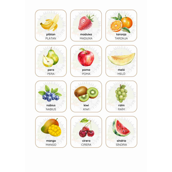 264 targetes - Camps semàntics