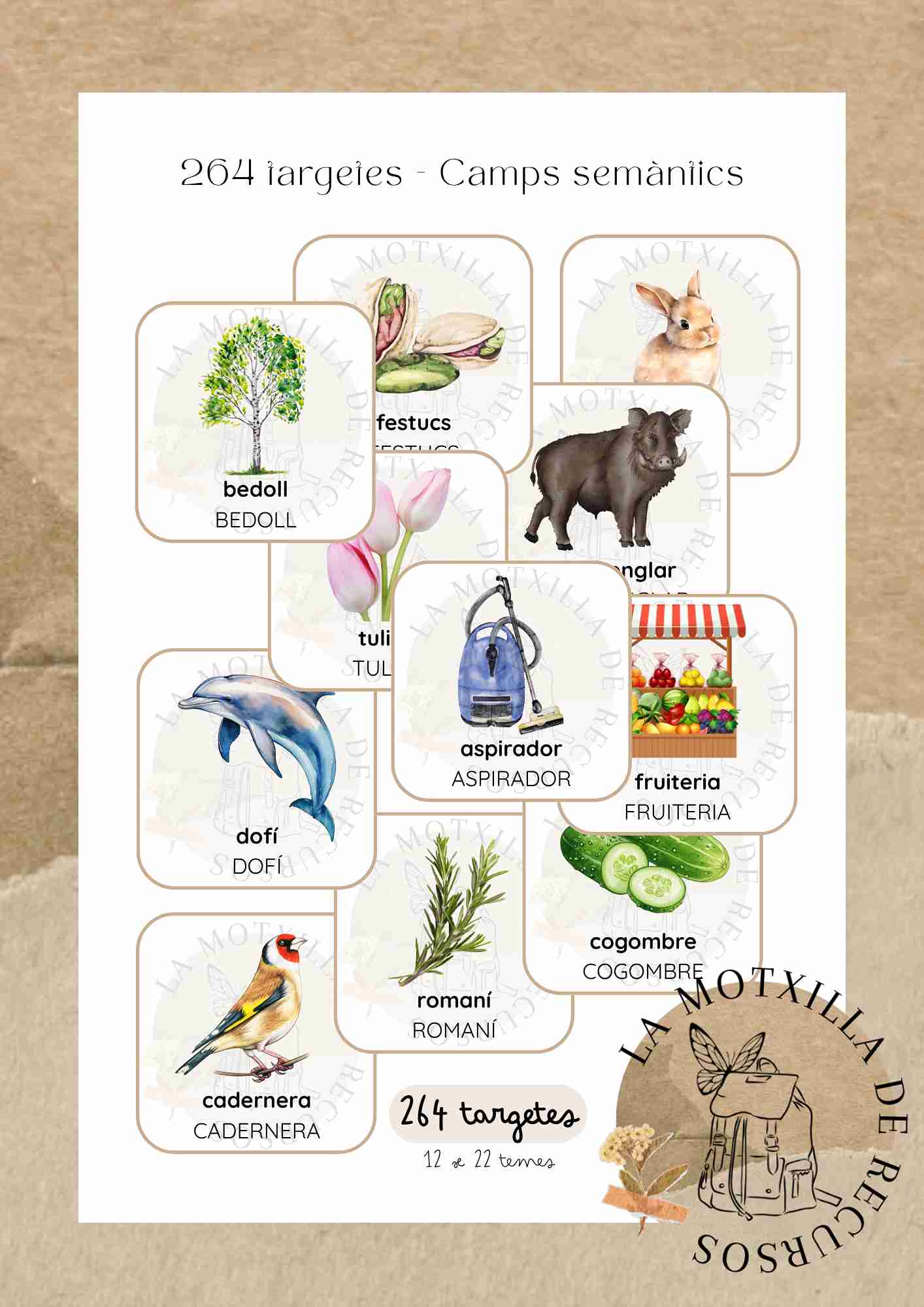 264 targetes - Camps semàntics