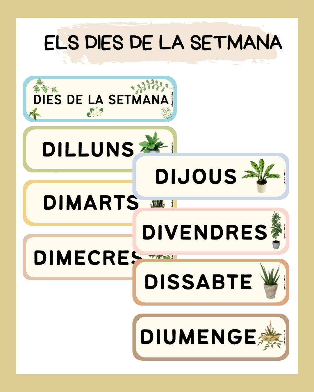 ELS DIES DE LA SETMANA