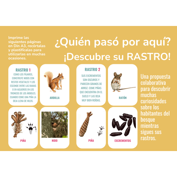 JUEGO DE CARTAS RASTROS ANIMALES DEL BOSQUE