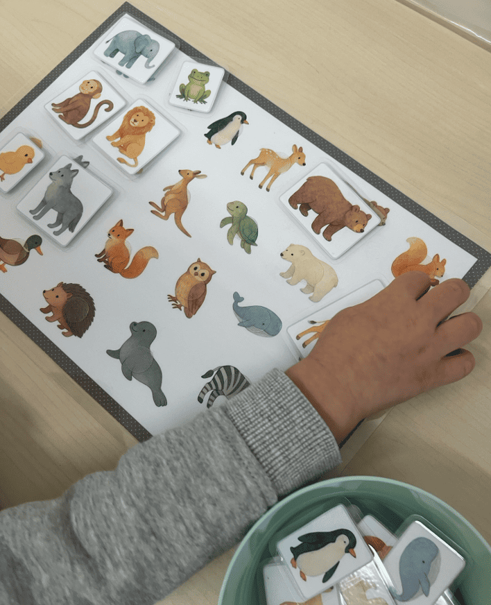 ✨ Mini Lince Animales ✨