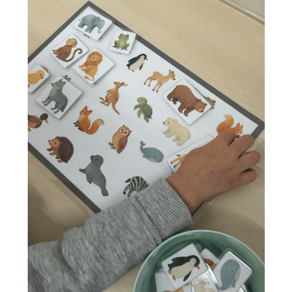 ✨ Mini Lince Animales ✨