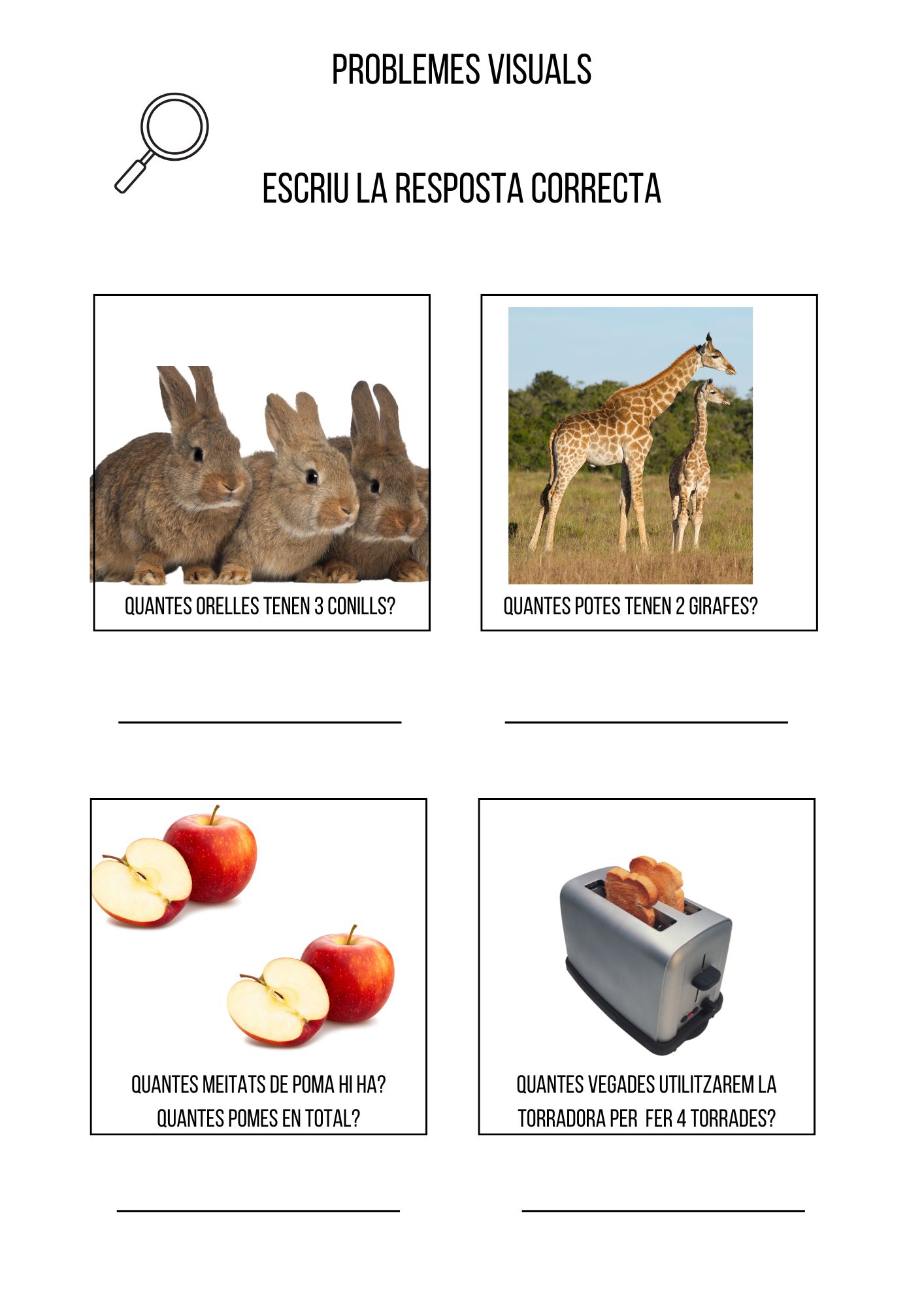 12 problemes visuals