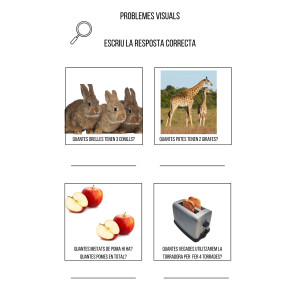 12 problemes visuals