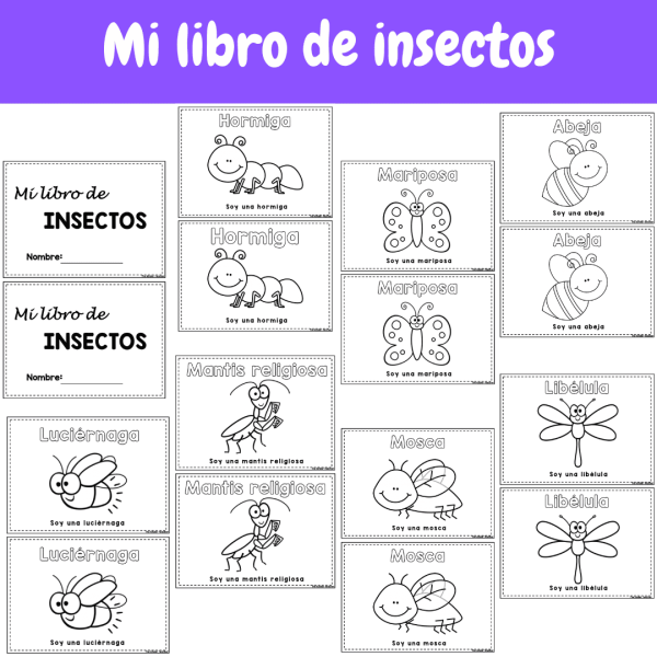 Todo sobre los insectos - Rincón de ciencias - Educación primaria e Infantil