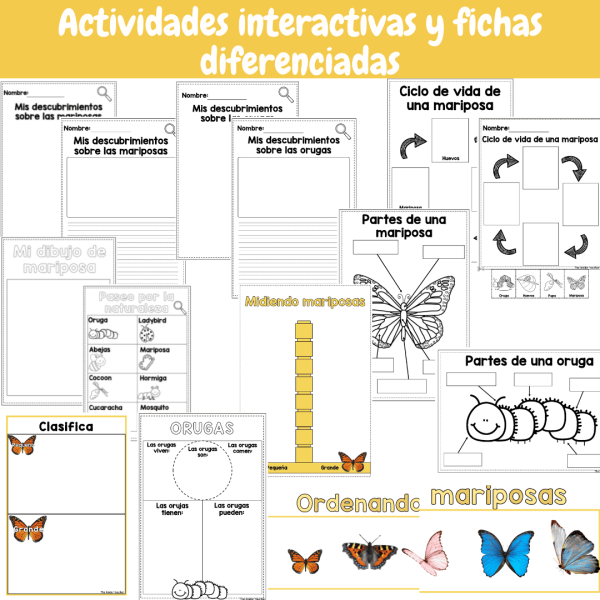 Todo sobre las mariposas - Rincón de ciencias