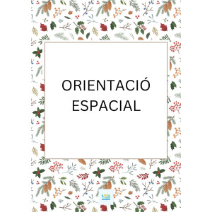 Orientació espacial