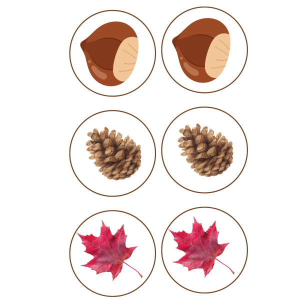 Orientació espacial