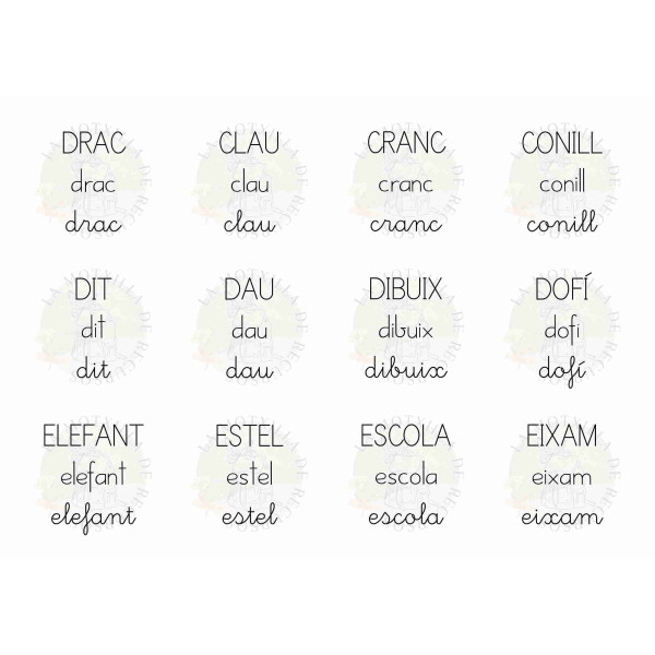 TAREGETES - Memori lectoescriptura