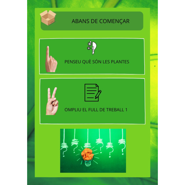 Les plantes