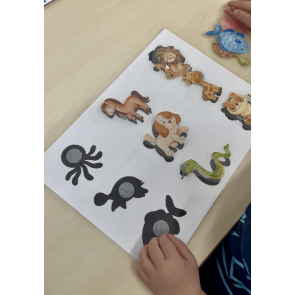 ✨ Animales y sombras ✨