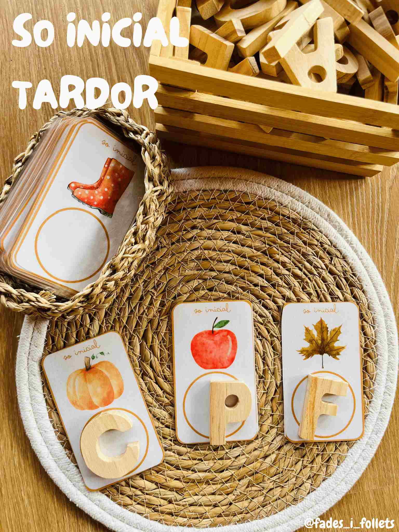 TARGETES SO INICIAL TARDOR