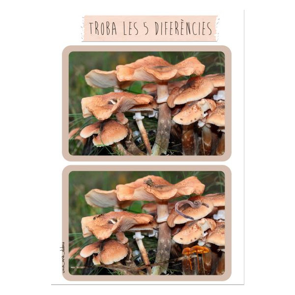 Troba les diferències