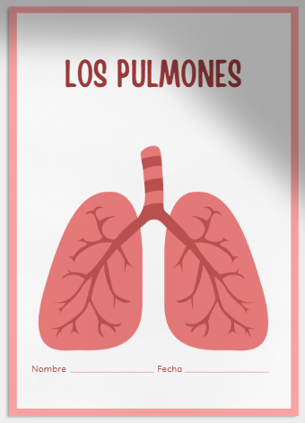 Los pulmones