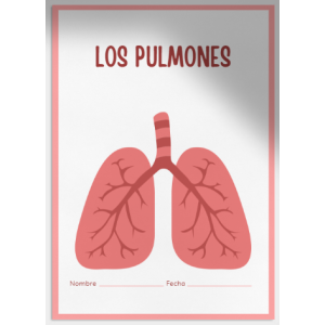 Los pulmones