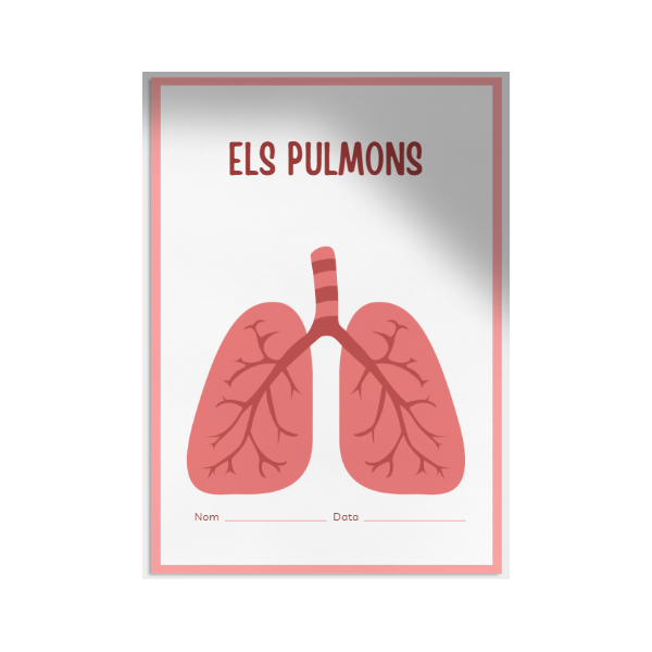 Els pulmons