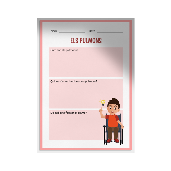 Els pulmons