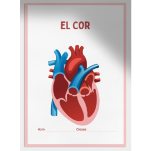 El cor