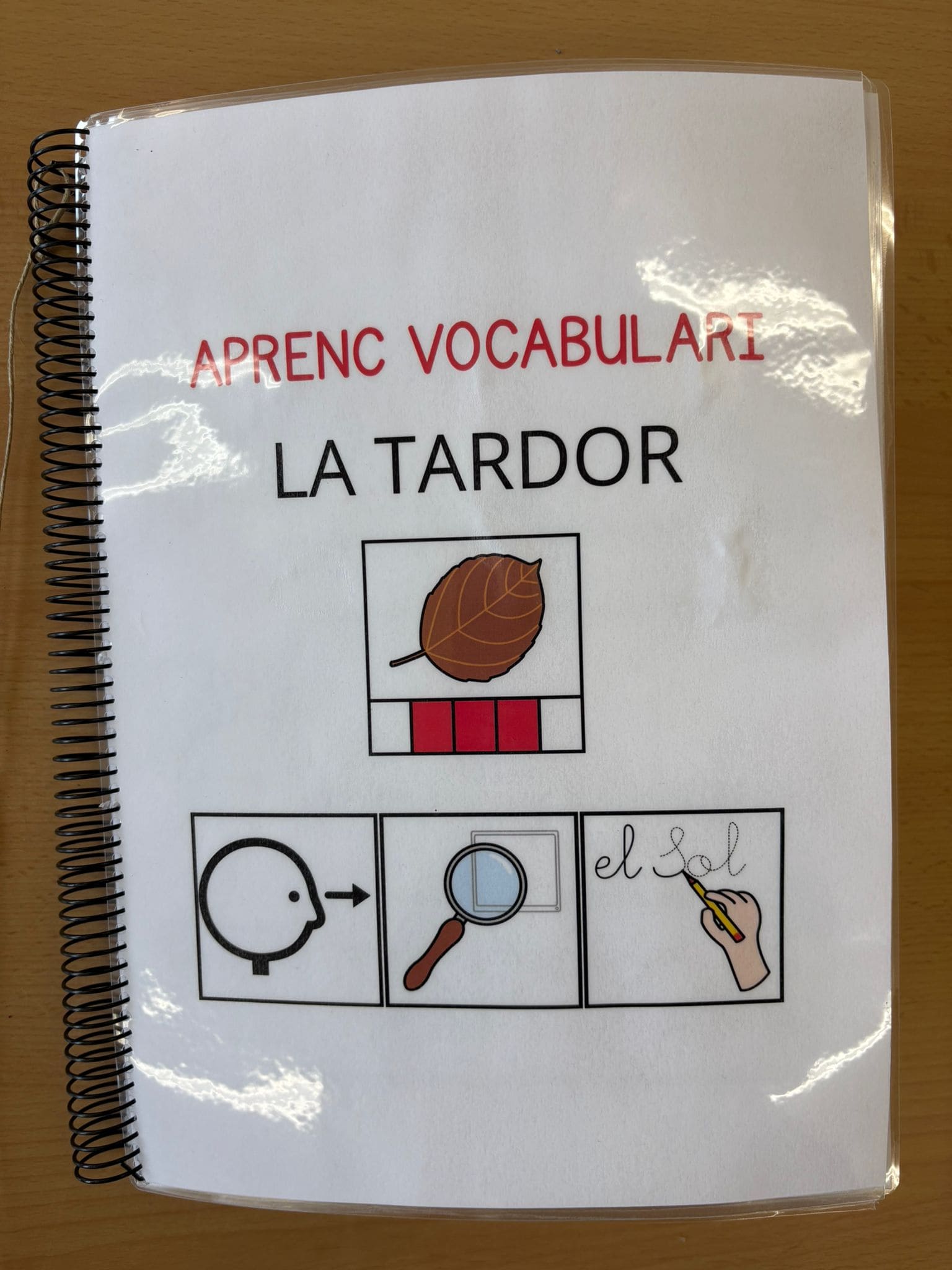 Aprenc vocabulari de tardor TEACCH