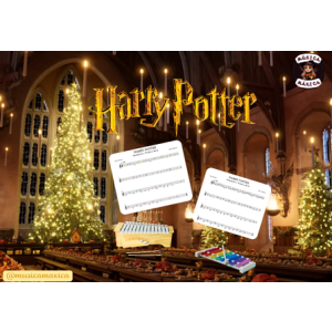 Harry Potter flauta/placas