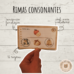Rimas consonantes
