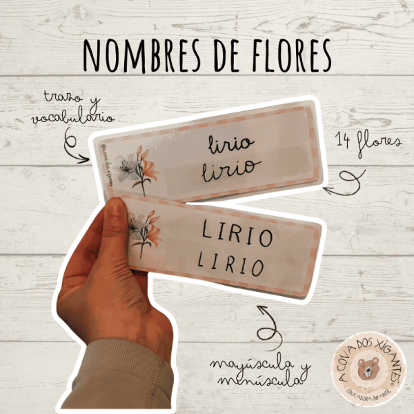 Nombres de flores - Vocabulario
