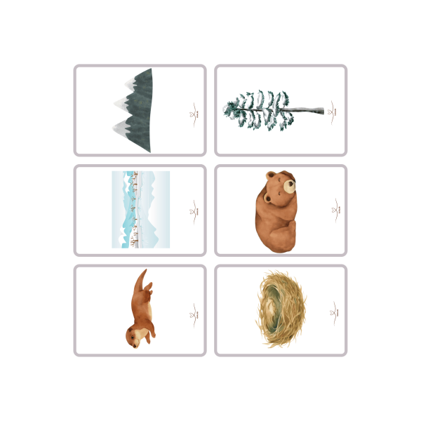 JUEGOS DE CARTA YOGUIS IVERNALES PARA VOLVER A LA CALMA