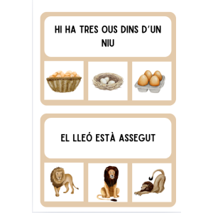 PROPOSTA RACÓ LECTOESCRIPTURA