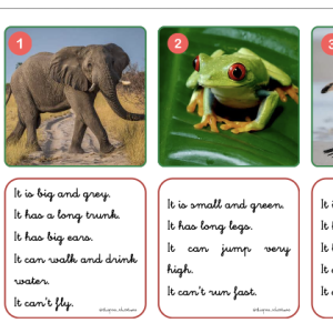 Animals descriptions