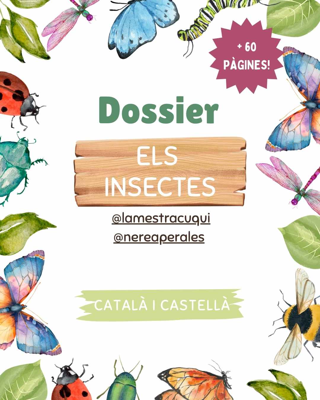 Dossier Los Insectos (CAT/CAST)